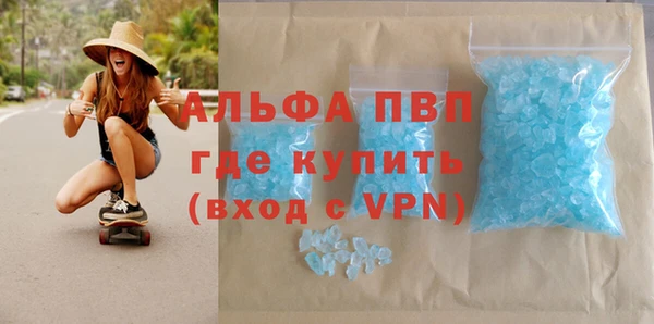 крисы Новокубанск