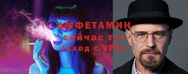 крисы Новокубанск