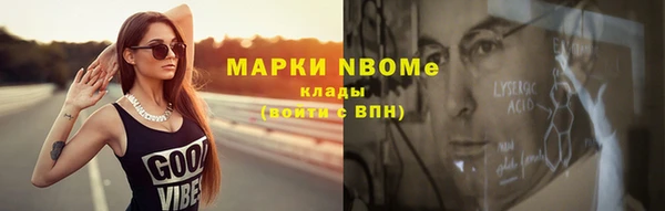 крисы Новокубанск