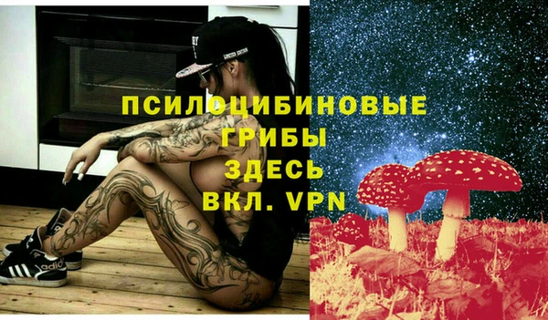 сатива Нефтекумск