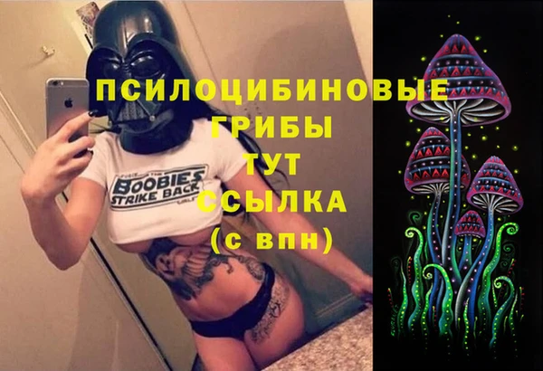 трава Нефтегорск