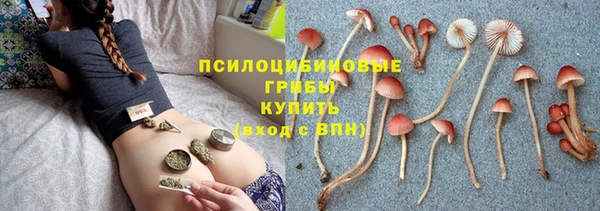 мескалин Новодвинск