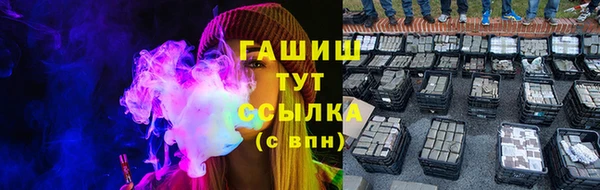 крисы Новокубанск