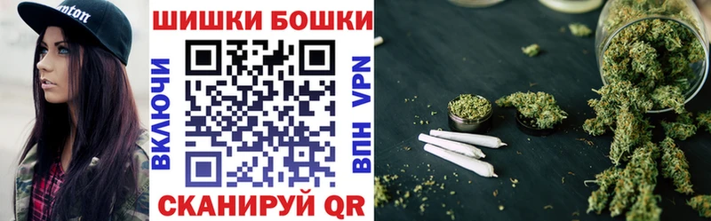 Бошки Шишки VHQ  Западная Двина 